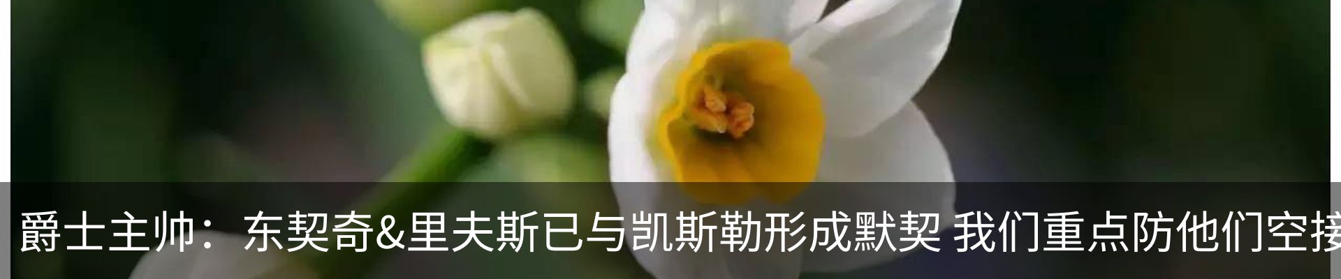 最新动态